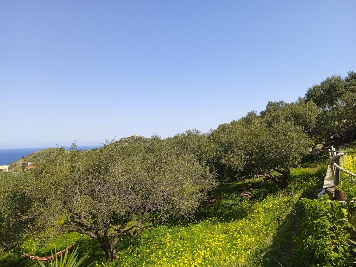 Saveriako, Paradise For Relaxed Free Spirits Villa Agia Pelagia  Esterno foto