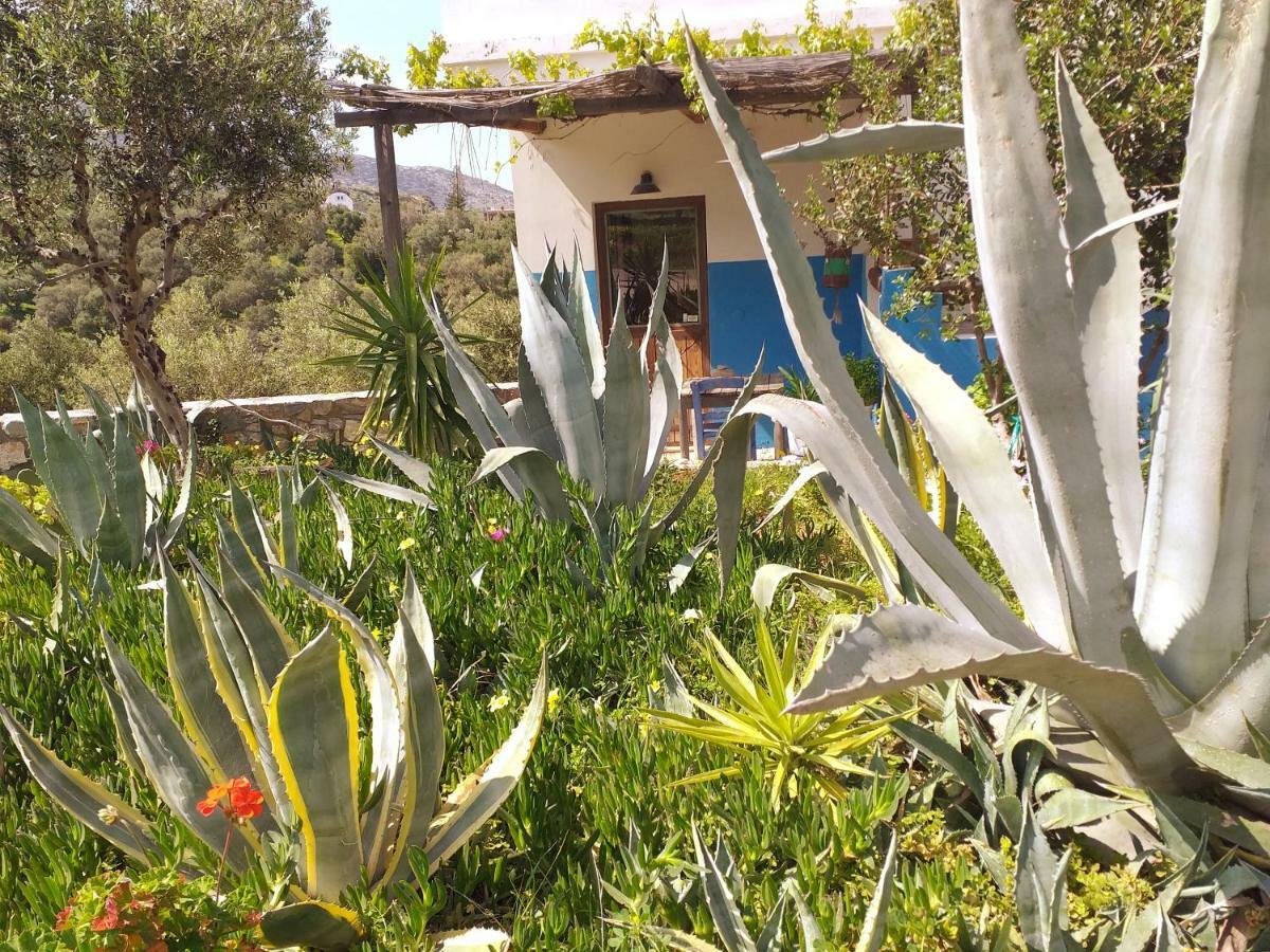 Saveriako, Paradise For Relaxed Free Spirits Villa Agia Pelagia  Esterno foto